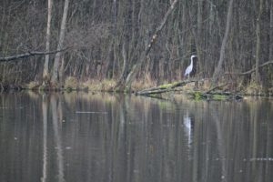 Grau ist alle Theorie